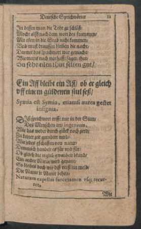 Ein Aff ... - Ein Dieb ...