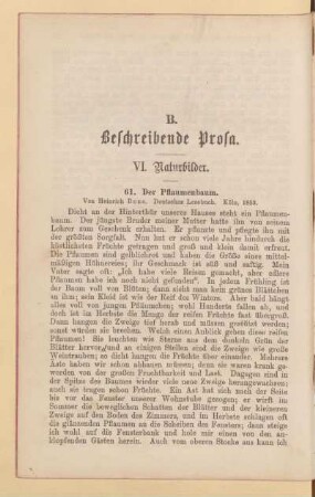 VI. Naturbilder