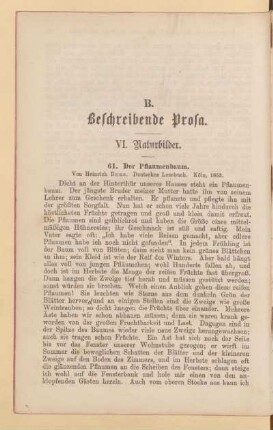 VI. Naturbilder