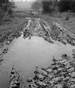 Barnitz/Elbe, Wendland, Deutschland, 2001