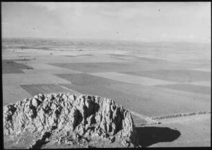 Altiplano