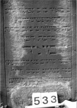Grabstein 533 (Index: 99802730) Material: Sandstein Zustand: seitl/unten verwitt/Textverlust Maße HxBxT: 116x57x12 cm Beschreibung: Stele mit verdachtem Rundbogen: Grabstein 533 (Detailaufnahme)