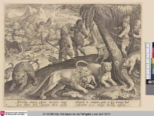 [Löwenjagd mit Hunden, Pfeil und Bogen; Lion hunt with bow and arrow]