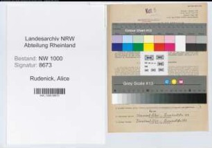 Entnazifizierung Alice Rudenick, geb. 13.05.1904 (Techn.Lehrerin)