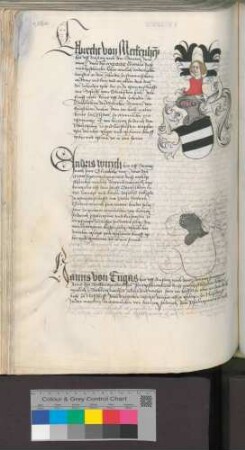 Endris Wirich