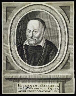 Fabricius ab Aquapendente, Hieronymus