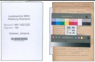 Entnazifizierung Johanna Goesser , geb. 04.06.1885 (Haendlerin)