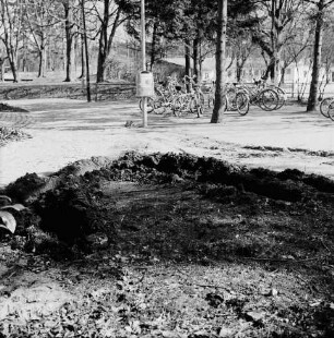 Vandalismus: Bürgerpark: beschädigte Sträucher am Hallenbad: vorn Fahrzeugspuren: dahinter Weg und Fahrräder: hinten rechts Jugendherberge