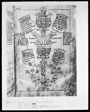Dialogus de laudibus sanctae crucis — Der Stammbaum des Tarah gipfelt in Christus, Folio 188verso