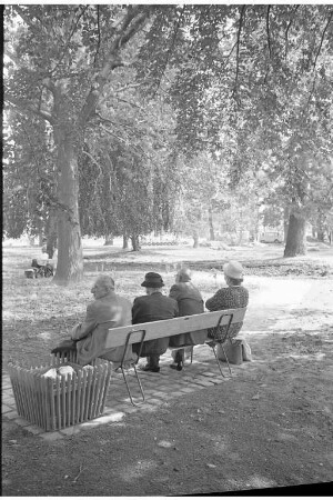 Sommertag im Nymphengarten.