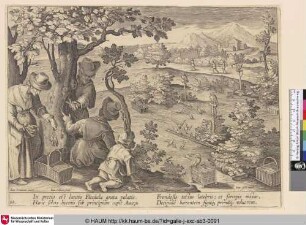 [Vogeljagd mit Eulen; Bird hunt with owls]