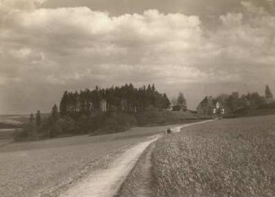 Marienberg (Erzgebirge). Halde des "Vater-Abraham"-Schachtes
