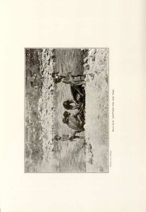 Plate XLIX. Emptying the fish trap