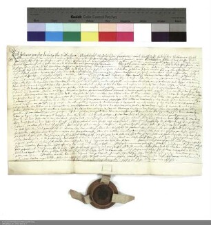 Revers Johann Martin Ludwigs von Schleifras bezüglich der Belehnung mit einem Burggut und der Mühle in Salmünster und weiteren im Einzelnen aufgeführten Lehen durch Konstantin [von Buttlar], Abt von Fulda
