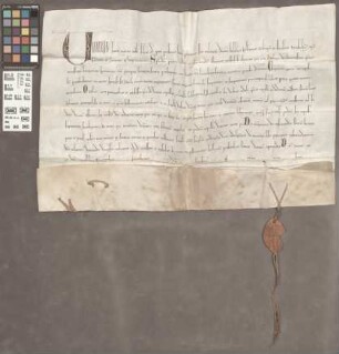 Mainz (St. Jakobsberg): Indulgentiae pro Monast. St. Jacobi in Monte speccioso prope muros Mogunt.