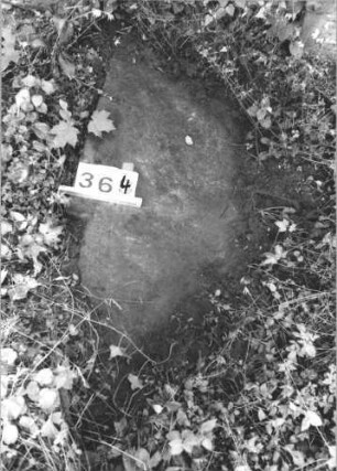 Grabstein 364