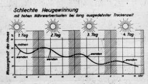 Schlechte Heugewinnung mit hohen Nährwertverlusten bei lang ausgedehnter Trockenzeit
