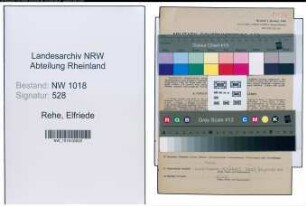 Entnazifizierung Elfriede Rehe , geb. 03.09.1909 (Technikerin)