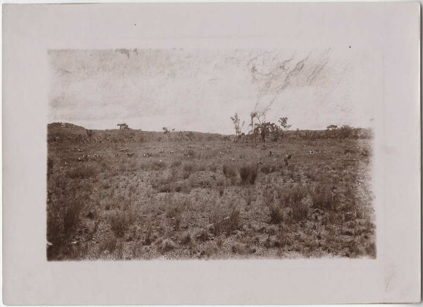 Tombe Kayapó près de Santa Rosa