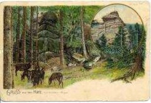 Rotwild im Harz