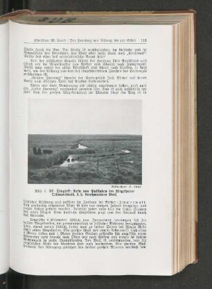 Uf-Tingleff: Reste von Palisaden der Wegesperre Oldmorswold, d. h. Großmutters Wall