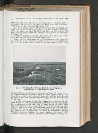 Uf-Tingleff: Reste von Palisaden der Wegesperre Oldmorswold, d. h. Großmutters Wall