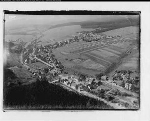 Tanne (b. Braunlage)