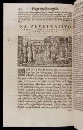 250-267, Na devetnaisto nedello po S. Troyzi, evangelium Math. IX. cap. - Na dvaisseto nedello po S. Troyzi, evangelium Math. na XXII. capituli.
