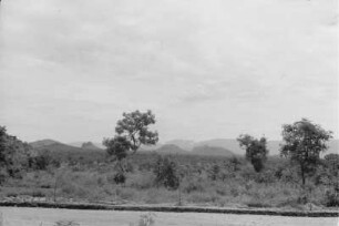 Savanne bei Gambela (Äthiopienreise 1937/1938 - 7. Flugreise nach Dembi Dolo und Ausflüge ins Umland)