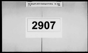 Einführung des neuen Münzfußes, Band 1