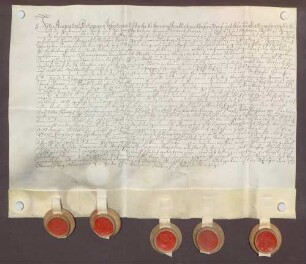 Testimonium probationis des August Philipp Christian von Hacke.