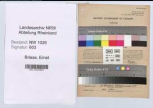 Entnazifizierung Ernst Briese , geb. 01.06.1888 (Werkmeister)