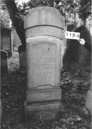 Grabstein 1194