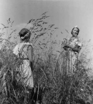 Kinderbilder. Zwei Mädchen mit Margeritenkränzen im Haar in einem Kornfeld