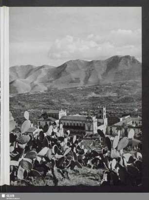 Die Kathedrale und die Conca d'Oro