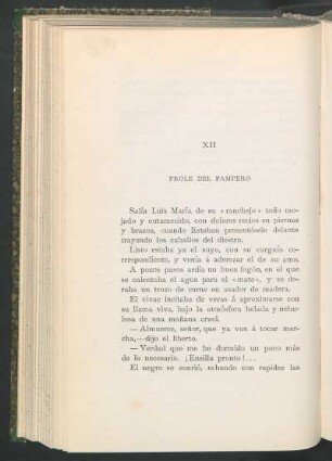 XII - Prole del pampero