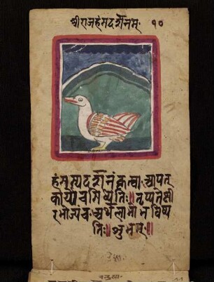 Illustration: Rājahaṃsa