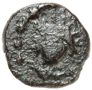 Palmyra