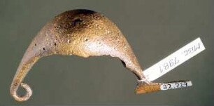 Große Fibel mit segelartig gebauchtem Bügel, der mit Gravierung (geometrische Ornamente) verziert ist; die Nadel fehlt