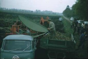 Fotografie: Erntetechnik, Kartoffel, Kartoffelsammelroder, Be- und Entladen