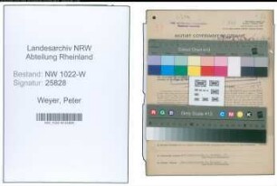 Entnazifizierung Peter Weyer , geb. 10.04.1902 (Prokurist)