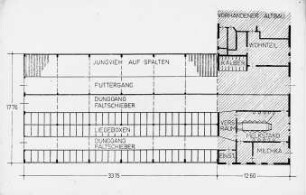 Schemazeichnung: Liegeboxenlaufstall, Milchviehhaltung, Grundriss