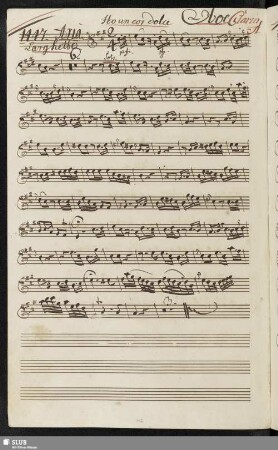 1447. Cavatina: Ho un cor dolce / Piticchio, F.