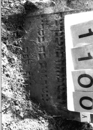 Grabstein 1100 (Index: 99753287) Material: Sandstein Zustand: leicht verwitt/Stele eingesunk/gekippt Maße HxBxT: 54x47x8 cm Beschreibung: eingezog. Rundbogenabschl. , rechteck. Schriftfeld m. rund eingezog. Ecken eingetieft Symbolik: Blüte: Grabstein 1100A