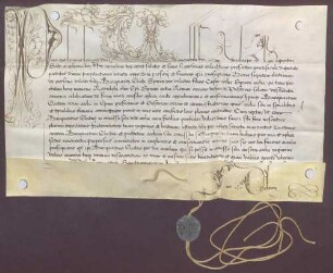Papst Pius IV. bestätigt den neuerwählten Bischof Marquard von Speyer.