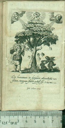 [XX. Cor humanum in desiderio æternitatis non fixum, nunquam stabile potest esse. S. August. Man. c. 25.]