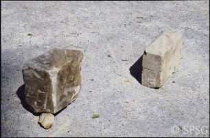 Potsdam, Park Sanssouci, Baumschule Sanssouci, gefundene Steinplatten mit Namen von Baumarten.