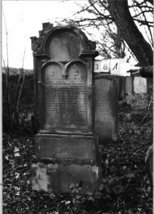 Grabstein 181 (Index: 99752035) Material: Sandstein Zustand: quer gebroch/repar. m. Textverl. /sonst gut Maße HxBxT: 168x52x17 cm Beschreibung: eingezog. Rundbogenabschl. m. Eckakroteren, Schriftfeld eingetieft m. zweibogigem Abs Symbolik: Ranken: Grabstein 181