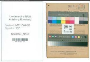 Entnazifizierung Alfred Seehofer , geb. 17.03.1902 (Lehrer)