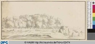 Baumlandschaft